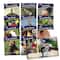 Junior Learning® Letters & Sounds Phase 3 Non-Fiction Educational Learning Set